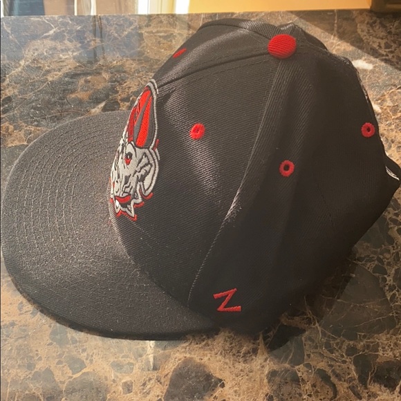 Collegiate SnapBack - Picture 4 of 7